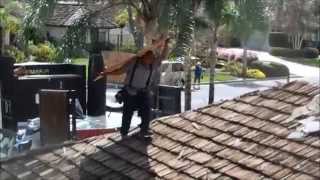 Tricks of the Roofing Trade  how do roofers get plywood up on the roof [upl. by Ravert658]