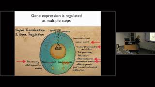 Regulating Gene Expression During LongLasting Synaptic Plasticity and Memory [upl. by Nniw677]