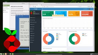 Pi hole LinuxMint 193 [upl. by Neerhtak]