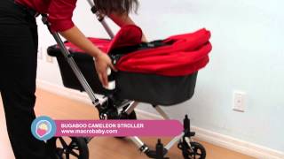 MacroBaby  Bugaboo Cameleon Stroller [upl. by Nuzzi]