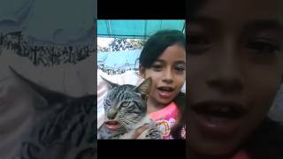 cat slap girl funny 😁 catgirlshortvideo trending [upl. by Leveridge569]