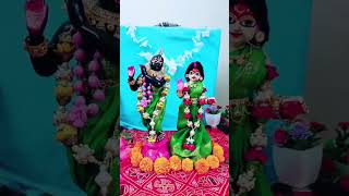 Dev pramodini Ekadashi ki mangalmay shubhkamna Jay rukmanikrishna laxminarayan tulsivivah [upl. by Animsaj]