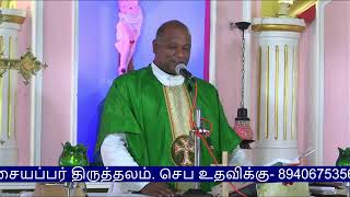 18th Sunday Mass 04 August 2024  Arimalam Shrine Live [upl. by Ainatnas]