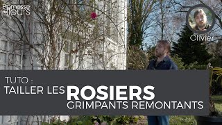 Tuto  Tailler les rosiers grimpants remontants [upl. by Tolecnal946]