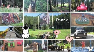 Prunno Asiago [upl. by Aytac]