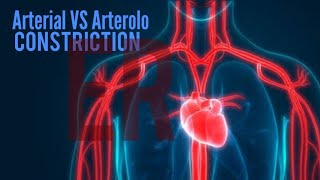 vasoconstriction and vasodilation [upl. by Pincince]