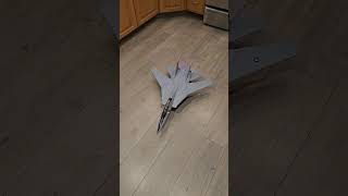 RC F14 Tomcat Twin 40mm EDF Wing Sweep and Engine test [upl. by Wendall]