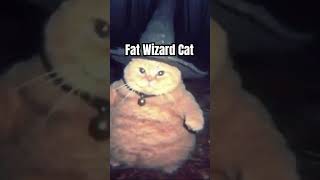 Fat Wizard Cat [upl. by Samara317]