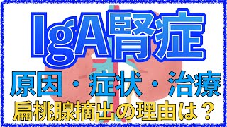 教科書をわかりやすく！「IgA腎症とは？」原因・症状・治療を解説！扁桃腺摘出を行うのはなぜ？ [upl. by Hellah]