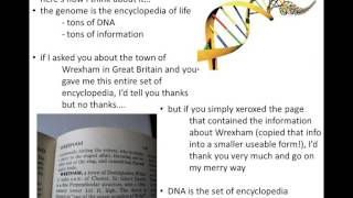 Lecture 14  The Central Dogma [upl. by Jorey178]