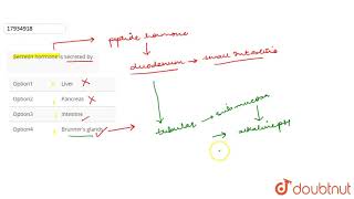 Secretin hormone is secreted by [upl. by Xam]