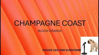 CHAMPAGNE COAST BY BLOOD ORANGE LYRICS [upl. by Anytsirhc]