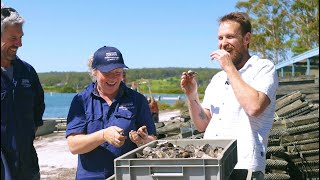 South Coast NSW oyster documentary with Paul West amp farmers [upl. by Bainbrudge]