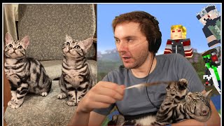 MEET MY NEW CATS  Hermitcraft Season 10 VOD Stream [upl. by Woodie477]