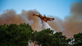 Incendie forêt du Pignada 30072020 [upl. by Pegma]