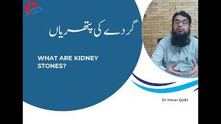 What are kidney stonesگردے کی پتھریاں Dr Imran Qadir [upl. by Airemaj]