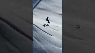 A Perfect Backcountry Jump [upl. by Nye]