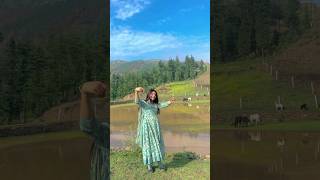 Apnapan Rohru bazare diwan siwan new pahari song 2024 himachalpradesh viral dance [upl. by Chow]