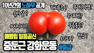 중둔근운동 10년 노하우 공개 엉덩이가 달라졌어요승마살 힙딥 오다리 엑스자 다리 허리통증 무릎통증 무지외반 족저근막염 효과보장 중급편 [upl. by Kare889]