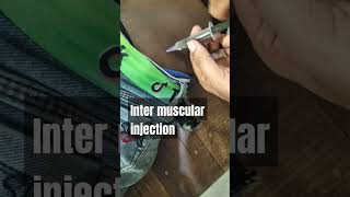 how to inject intermuscular im injectionyoutube shots [upl. by Sclar]