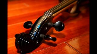 Canon in D  Electric Violin [upl. by Meurer]