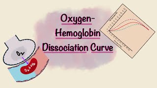 Oxygen Hemoglobin Dissociation Curve  Oxygen transport  Gas Exchange  Respiratory Physiology [upl. by Laleb]