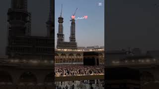 TajdareHaram  Namaz E Ishq Karenge Ada Madina Mein  Tajaliyon Ki Ajab Hai Fizaa Madine Main [upl. by Eanert]