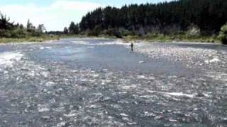 Flyfishing the Tongariro River New Zealand [upl. by Yrrehs]