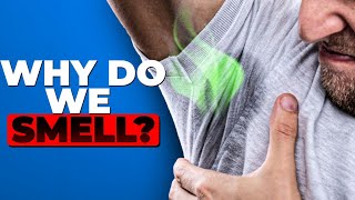 The Science of Body Odor Science Behind Your Sweat [upl. by Liahcim]