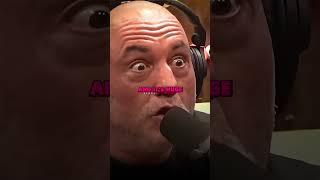 Joe Rogan on Grizzly Bear Chilling next to Photographer [upl. by Nitsew]