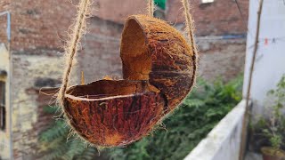 DIY Bird Water Bowl from Coconut Shell  EcoFriendly Bird Care Idea [upl. by Oicor]