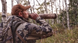 Colorado Elk Hunt during the Rut with Muzzleloader [upl. by Nedmac73]