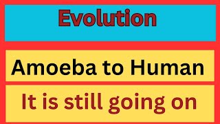 Evolution From Amoeba to Human [upl. by Latrena]