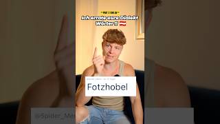 Ich errate eure Dialekt Wörter 🇦🇹⚠️ FOTZHOBEL [upl. by Lilllie]