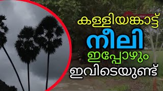 ഒരുകാലത്തെ പേടിസ്വപ്നമായിരുന്ന കള്ളിയങ്കാട് നീലിയുടെ നാട്ടിൽ  Kalliyankattu Neeli [upl. by Lacee]