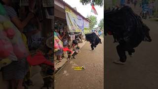 Barongan BANTENG munding laya mengamuk Di pancing kain WARNA MERAH [upl. by Cadel]