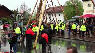 Maibaum 2015 in Benediktbeuern [upl. by Mcintyre]