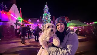 Highworth Christmas Lights Switch on [upl. by Ahsikyt]