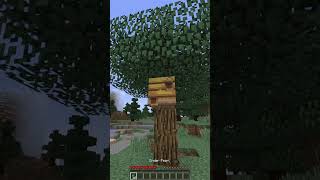 Que hay DENTRO DEL PANAL De Abejas En Minecraft [upl. by Loring]