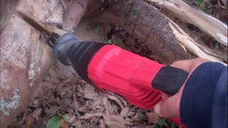 cutting big limb with a Hyper Tough reciprocating saw [upl. by Gladdie]