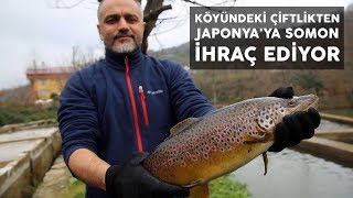 Köyündeki çiftlikten Japonyaya somon ihraç ediyor [upl. by Ille746]