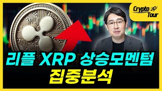 리플 XRP 4가지 상승모멘텀 이것ㅣ크립토투어 박작가의 크립토 연구소 [upl. by Acyre]