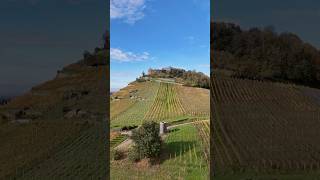 Burg Staufen im Breisgau 🇩🇪 Hochschwarzwald schwarzwald burg ruine deutschland dji mini4pro [upl. by Sofia622]