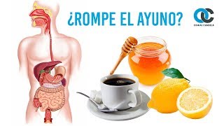 ¿Qué alimentos rompen el ayuno [upl. by Ardnuaet232]