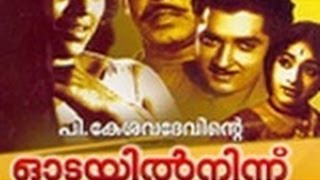 Odayil Ninnu 1965 Full Malayalam Movie [upl. by Lalaj897]