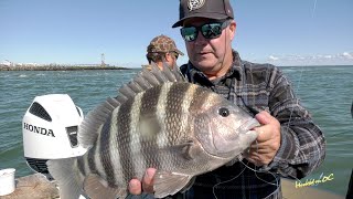 Hooked On OC  Episode 414  Lucky Break on the South Jetty [upl. by Richmond]