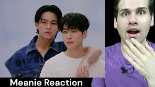 MinwonMeanie Moments That Every Carats Must Watch Mingyu amp Wonwoo  Seventeen Reaction [upl. by Yrelle]