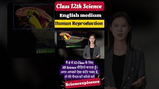 Human reproduction  Class 12th  Biology ncert neet cbse🔥✅ [upl. by Katrine]