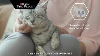 Découvrez Purina Pro Plan Cat Sterilised pour les chats stérilisés [upl. by Enirahtak]