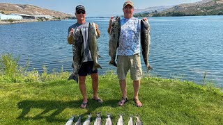 Brewster Sockeye and Summer Chinook Report 81024 Fishing remains Very Good [upl. by Herbst930]